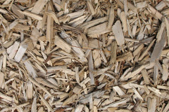 biomass boilers Penhale Jakes